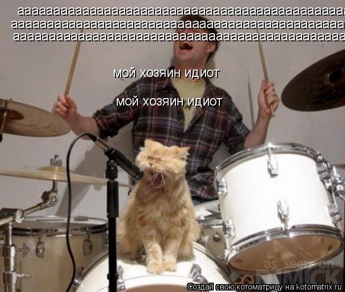 Котоматрица: аааааааааааааааааааааааааааааааааааааааааааааааааааааааааааааааа ааааааааааааааааааааааааааааааааааааааааааааааааааааааааааааааа