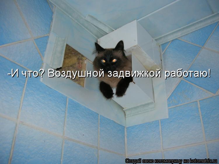 Котоматрица: -И что? Воздушной задвижкой работаю!