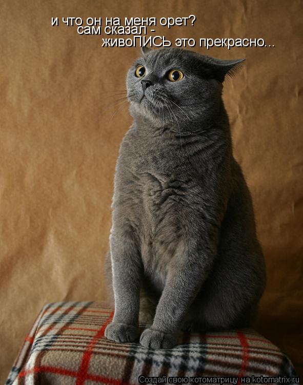 Котоматрица: и что он на меня орет? сам сказал - живоПИСЬ это прекрасно...