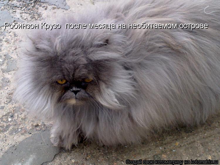 Котоматрица: Робинзон Крузо  после месяца на необитаемом острове