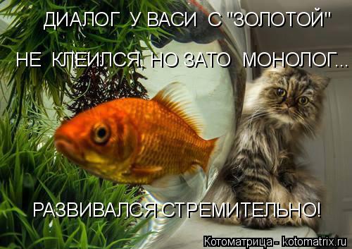 Котоматрица: РАЗВИВАЛСЯ СТРЕМИТЕЛЬНО! ДИАЛОГ  У ВАСИ  С "ЗОЛОТОЙ" НЕ  КЛЕИЛСЯ, НО ЗАТО  МОНОЛОГ...