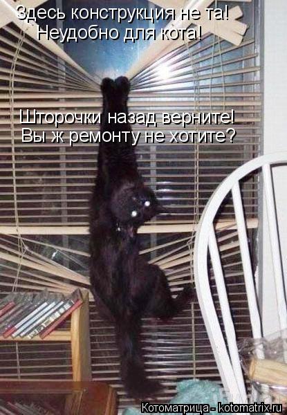 Котоматрица: Неудобно для кота! Здесь конструкция не та! Шторочки назад верните! Вы ж ремонту не хотите?