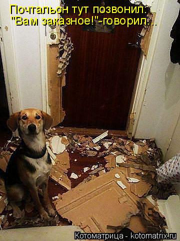 Котоматрица: Почтальон тут позвонил: "Вам заказное!"-говорил...