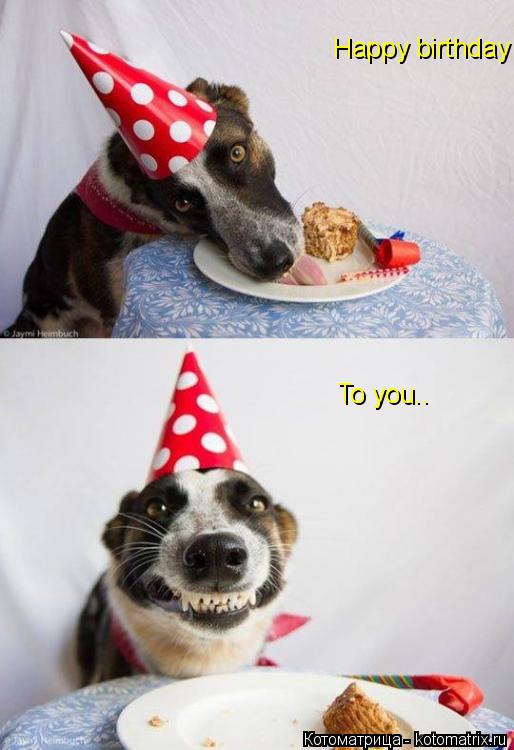 Котоматрица: Happy birthday  To you..