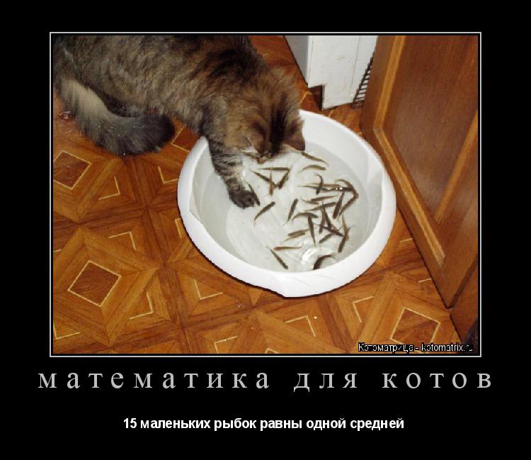 Котоматрица: математика для котов 15 маленьких рыбок равны одной средней 