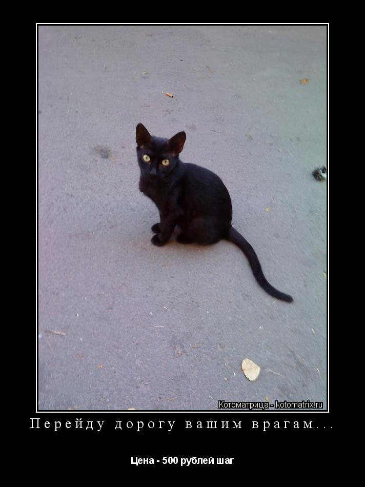 Перейду дорогу вашим врагам... Цена - 500 рублей шаг... Котоматрица: Перейду дорогу вашим врагам... Цена - 500 рублей шаг