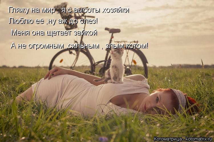 Котоматрица: Гляжу на мир , я с высоты хозяйки Люблю её ,ну аж до слез! Меня она щетает зайкой А не огромным ,сильным , злым котом!