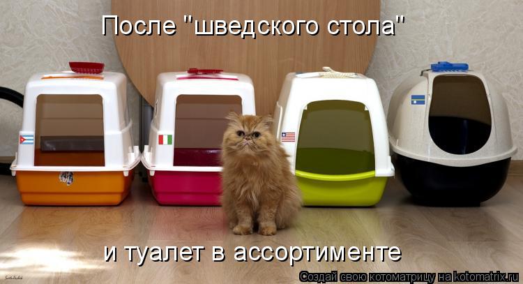 После "шведского стола" и туалет в ассортименте... Котоматрица: После "шведского стола" и туалет в ассортименте