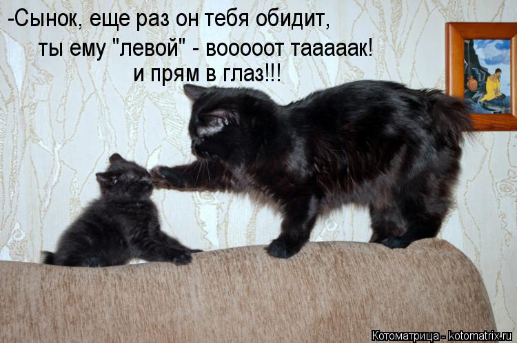 -Сынок, еще раз он тебя обидит, ты ему "левой" - вооооот тааааак! и прям в глаз!!!... Котоматрица: -Сынок, еще раз он тебя обидит, ты ему "левой" - вооооот тааааак! и прям в глаз!!!