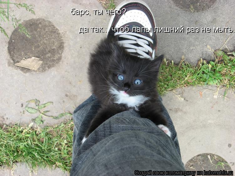 барс, ты чего? да так... чтоб лапы лишний раз не мыть...... Котоматрица: барс, ты чего? да так... чтоб лапы лишний раз не мыть...