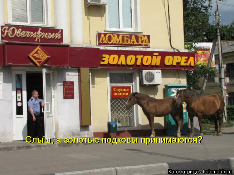 Котоматрица: Слыш, а золотые подковы принимаются?