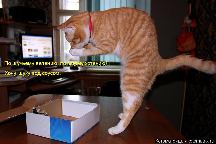 Котоматрица: По щучьему велению, по моему хотению! Хочу, щуку под соусом.