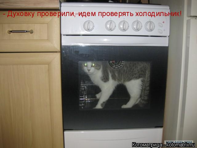 Котоматрица: - Духовку проверили, идем проверять холодильник!