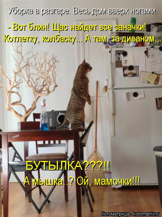 Котоматрица: Уборка в разгаре. Весь дом вверх ногами.  - Вот блин! Щас найдет все заначки! Котлетку, колбаску... А там, за диваном...  БУТЫЛКА???!! А мышка..? Ой, м