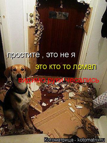 Котоматрица: простите , это не я это кто то ломал видимо руки чесались