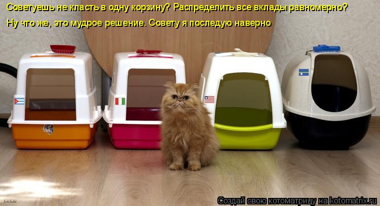Котоматрица: Советуешь не класть в одну корзину? Распределить все вклады равномерно? Ну что же, это мудрое решение. Совету я последую наверно