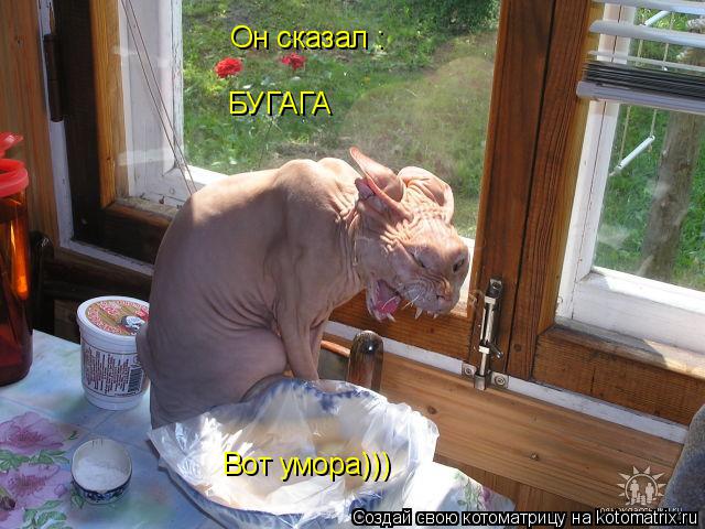 Он сказал : БУГАГА Вот умора)))... Котоматрица: Он сказал : БУГАГА Вот умора)))