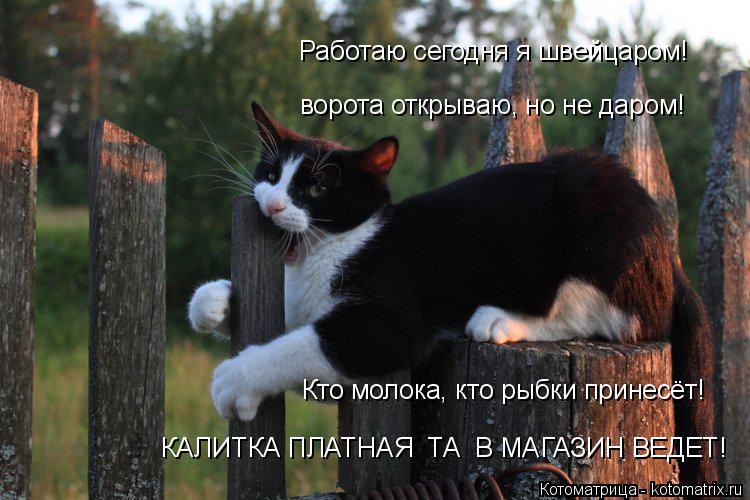 Котоматрица: Работаю сегодня я швейцаром!  Кто молока, кто рыбки принесёт!  КАЛИТКА ПЛАТНАЯ  ТА  В МАГАЗИН ВЕДЕТ! ворота открываю, но не даром!