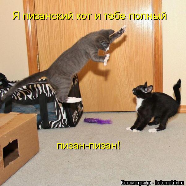 Котоматрица: Я пизанский кот и тебе полный пизан-пизан!