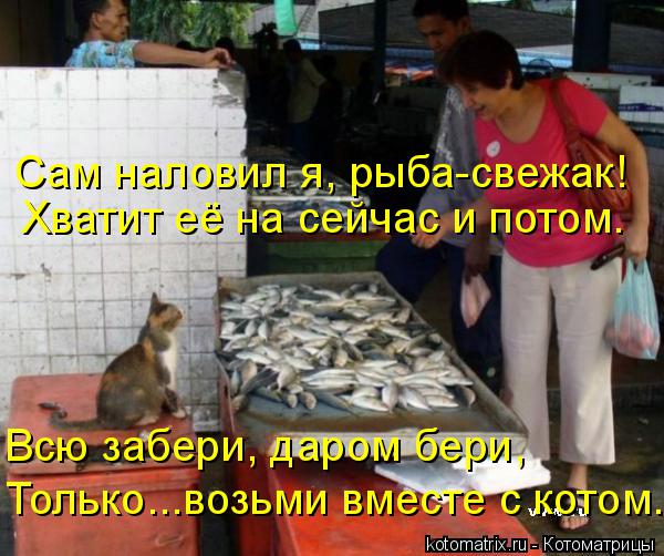 Сам наловил я, рыба-свежак! Хватит её на сейчас и потом. Всю забери, даром бери, Только...возьми вмес... Котоматрица: Сам наловил я, рыба-свежак! Хватит её на сейчас и потом. Всю забери, даром бери, Только...возьми вместе с котом...