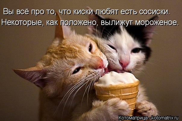 Котоматрица: Вы всё про то, что киски любят есть сосиски. Некоторые, как положено, вылижут мороженое.