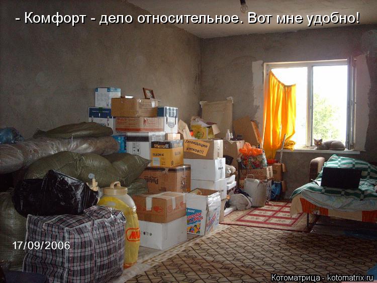 - Комфорт - дело относительное. Вот мне удобно!... Котоматрица: - Комфорт - дело относительное. Вот мне удобно!