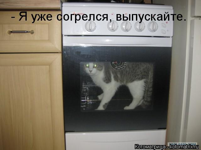 Котоматрица: - Я уже согрелся, выпускайте.