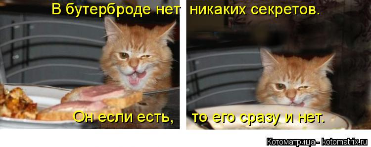 В бутерброде нет никаких секретов. Он если есть, то его сразу и нет.... Котоматрица: В бутерброде нет никаких секретов. Он если есть, то его сразу и нет.