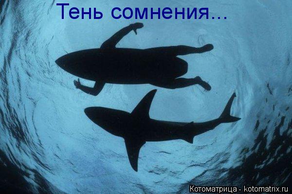 Тень сомнения...... Котоматрица: Тень сомнения...