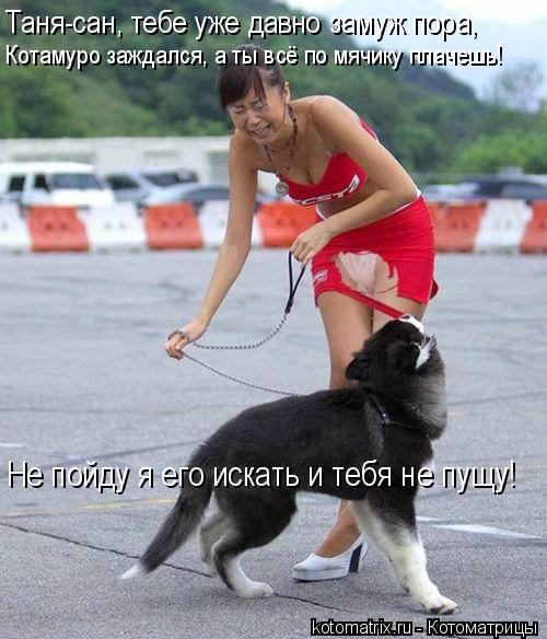 Таня-сан, тебе уже давно замуж пора, Котамуро заждался, а ты всё по мячику плачешь! Не пойду я его ис... Котоматрица: Таня-сан, тебе уже давно замуж пора, Котамуро заждался, а ты всё по мячику плачешь! Не пойду я его искать и тебя не пущу!