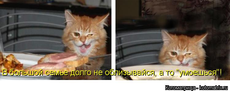 В большой семье долго не облизывайся, а то "умоешься"!... Котоматрица: В большой семье долго не облизывайся, а то "умоешься"!