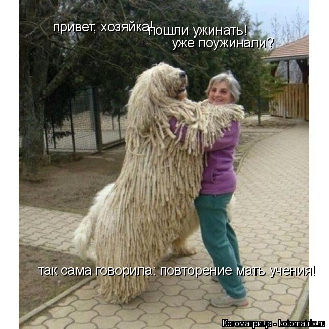 Котоматрица: привет, хозяйка!  пошли ужинать! уже поужинали? так сама говорила: повторение мать учения!