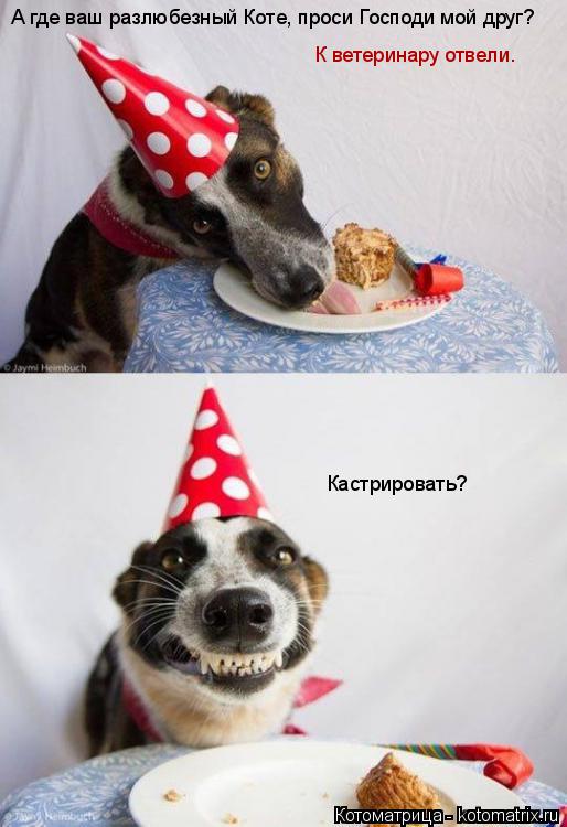 Котоматрица: А где ваш разлюбезный Коте, проси Господи мой друг? К ветеринару отвели. Кастрировать?