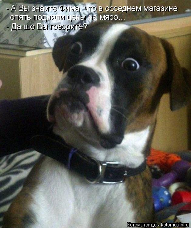 - А Вы знаите Фима, что в соседнем магазине опять подняли цены на мясо… - Да шо Вы говорите?... Котоматрица: - А Вы знаите Фима, что в соседнем магазине опять подняли цены на мясо… - Да шо Вы говорите?