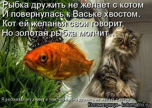 Котоматрица: Но золотая рыбка молчит… Кот ей желанья свои говорит, И повернулась к Ваське хвостом. Рыбка дружить не желает с котом Я рассказал эту сказк