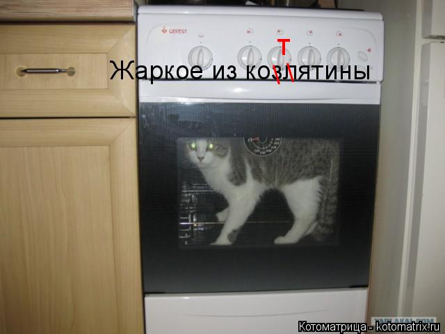 Жаркое из козлятины \ \ т... Котоматрица: Жаркое из козлятины \ \ т