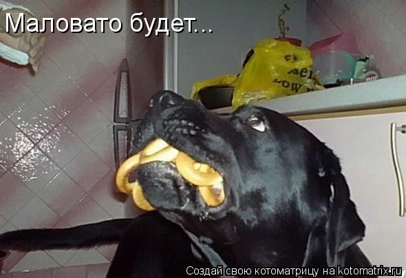 Маловато будет...... Котоматрица: Маловато будет...