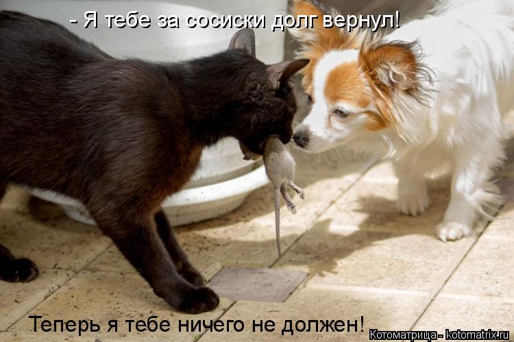 - Я тебе за сосиски долг вернул! Теперь я тебе ничего не должен!... Котоматрица: - Я тебе за сосиски долг вернул! Теперь я тебе ничего не должен!