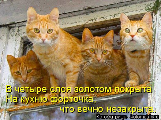 В четыре слоя золотом покрыта На кухню форточка, что вечно незакрыта.... Котоматрица: В четыре слоя золотом покрыта На кухню форточка, что вечно незакрыта.