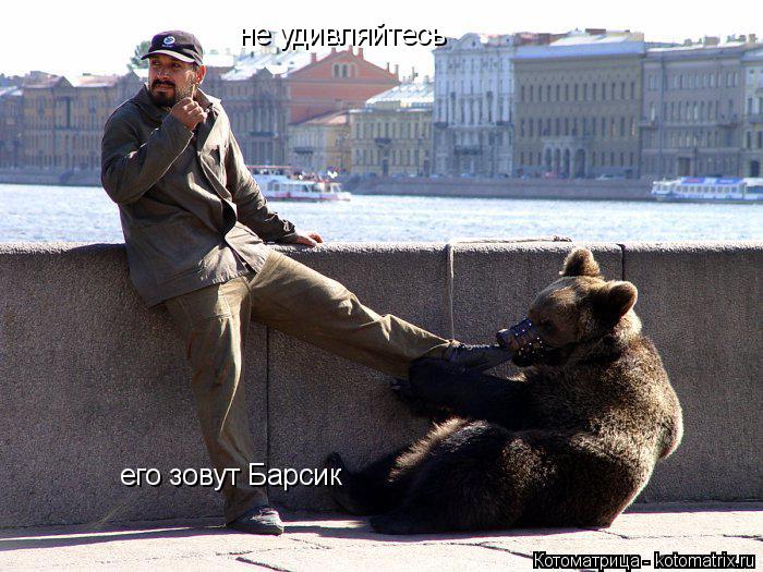 не удивляйтесь его зовут Барсик... Котоматрица: не удивляйтесь его зовут Барсик