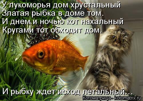 У лукоморья дом хрустальный Златая рыбка в доме том. И днем и ночью кот нахальный Кругами тот обходит... Котоматрица: У лукоморья дом хрустальный Златая рыбка в доме том. И днем и ночью кот нахальный Кругами тот обходит дом. И рыбку ждет исход летальный…