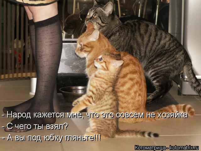 - Народ кажется мне, что это совсем не хозяйка - С чего ты взял? - А вы под юбку гляньте!!!... Котоматрица: - Народ кажется мне, что это совсем не хозяйка - С чего ты взял? - А вы под юбку гляньте!!!