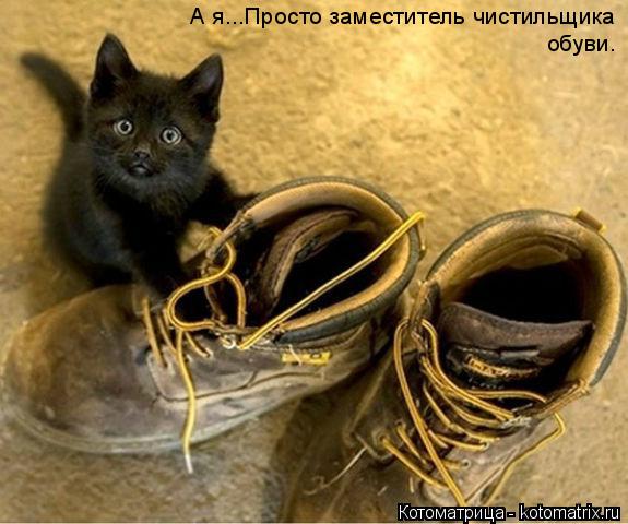 А я...Просто заместитель чистильщика обуви.... Котоматрица: А я...Просто заместитель чистильщика обуви.