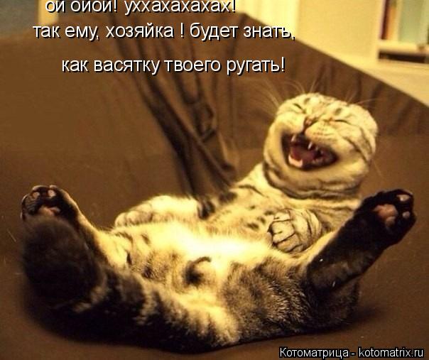 так ему, хозяйка ! будет знать, как васятку твоего ругать! ой ойой! уххахахахах!... Котоматрица: так ему, хозяйка ! будет знать, как васятку твоего ругать! ой ойой! уххахахахах!