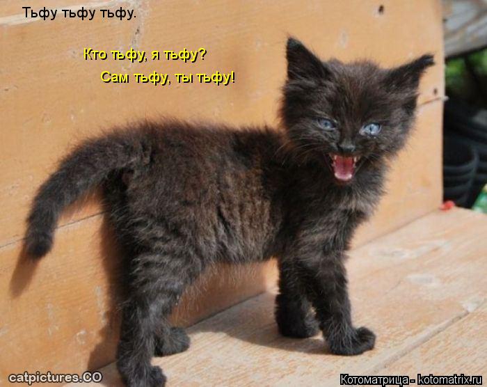 Кто тьфу, я тьфу? Сам тьфу, ты тьфу! Тьфу тьфу тьфу.... Котоматрица: Кто тьфу, я тьфу? Сам тьфу, ты тьфу! Тьфу тьфу тьфу.