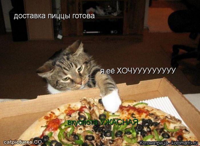 доставка пиццы готова я её ХОЧУУУУУУУУУ вкуснота УЖАСНАЯ... Котоматрица: доставка пиццы готова я её ХОЧУУУУУУУУУ вкуснота УЖАСНАЯ