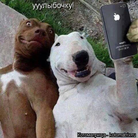 ууулыбочку!... Котоматрица: ууулыбочку!