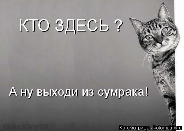 КТО ЗДЕСЬ ? А ну выходи из сумрака!... Котоматрица: КТО ЗДЕСЬ ? А ну выходи из сумрака!