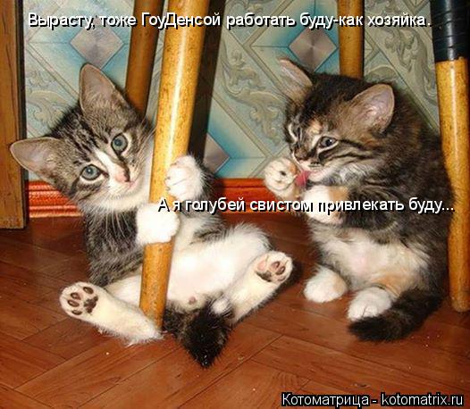 Котоматрица: Вырасту, тоже ГоуДенсой работать буду-как хозяйка. А я голубей свистом привлекать буду...