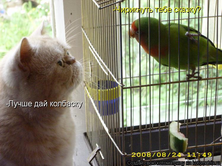 -Чирикнуть тебе сказку? -Лучше дай колбаску... Котоматрица: -Чирикнуть тебе сказку? -Лучше дай колбаску